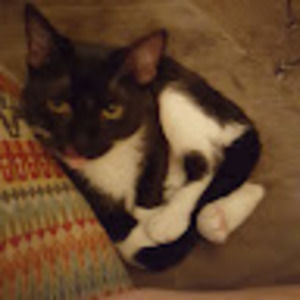 Meet your Posher, Heather